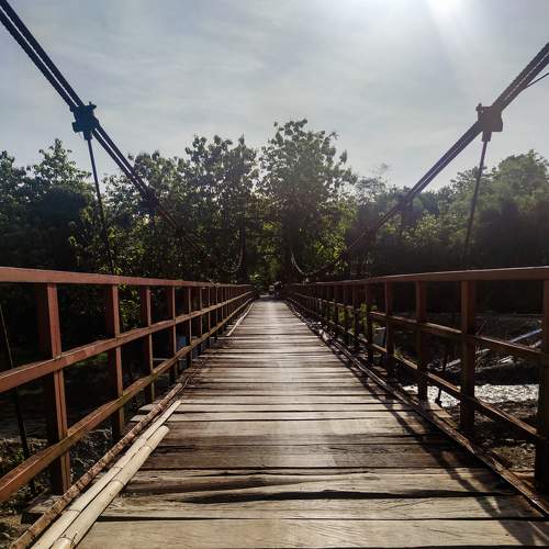 Photo #6941525