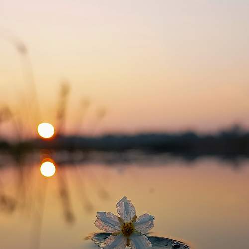 Photo #6941589