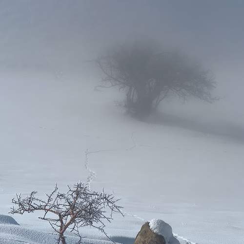 Photo #6941604