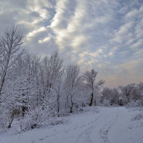 Photo #6942227