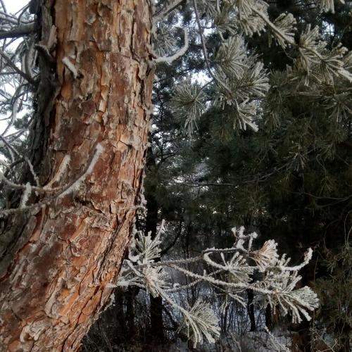 Photo #6942259