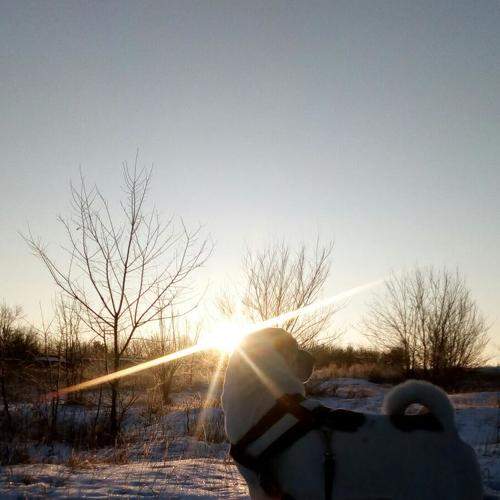 Photo #6942279