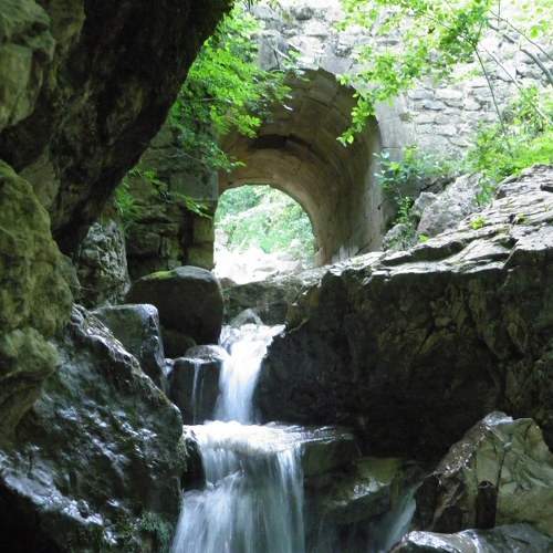 Photo #6942526