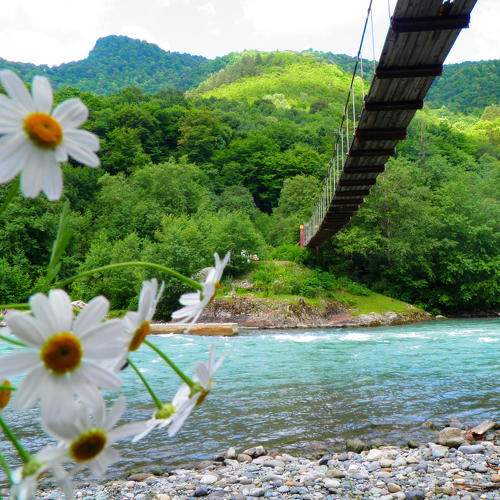 Photo #6942547