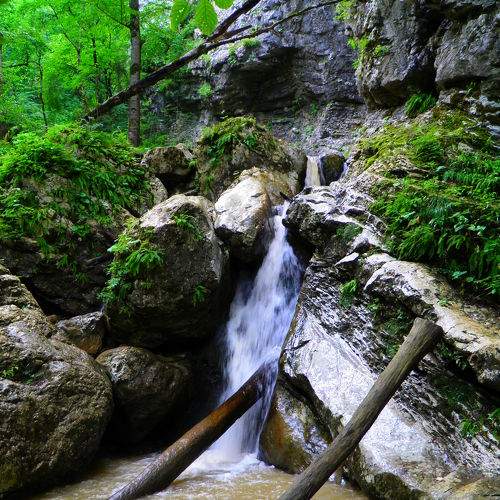 Photo #6942573
