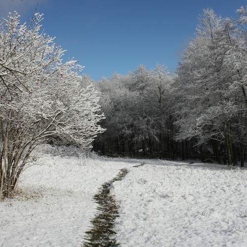 Photo #6942590