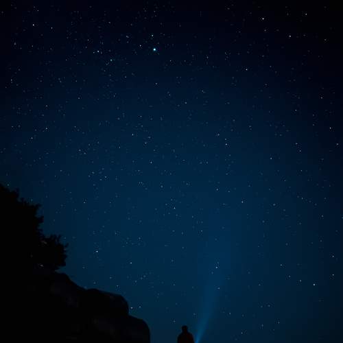 Photo #6942646