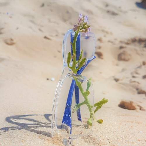Photo #6943114