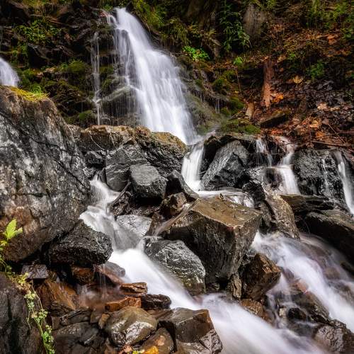 Photo #6943132