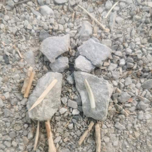 Photo #6943157