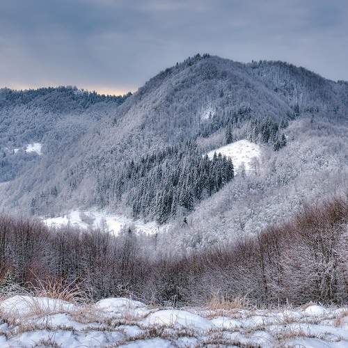 Photo #6943405