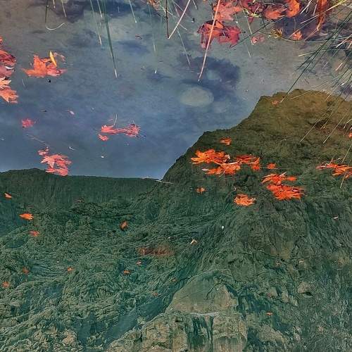 Photo #6943550