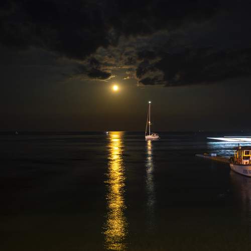 Photo #6943815