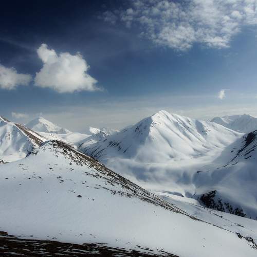 Photo #6944107