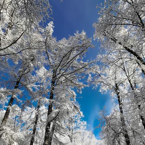 Photo #6944171
