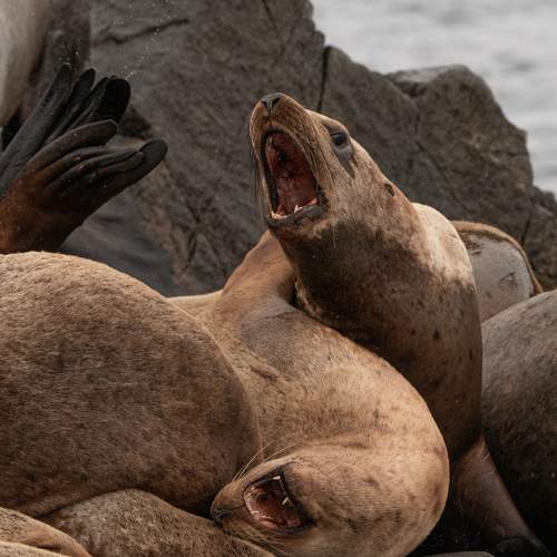 Photo #6944253