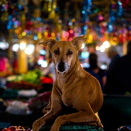Photo #6944348