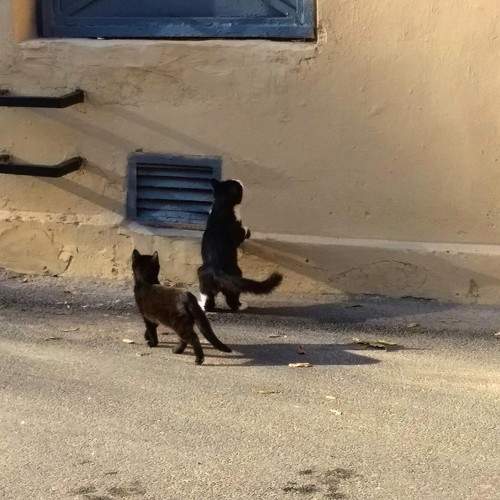 Photo #6944687