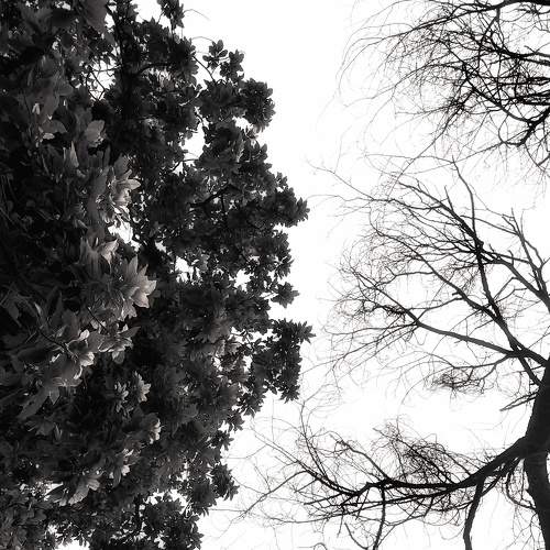 Photo #6944850