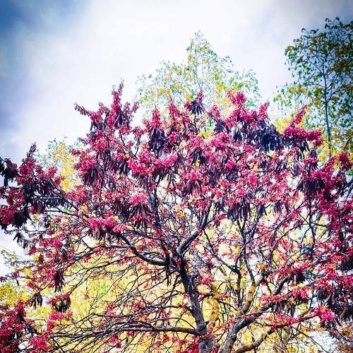 Photo #6944926