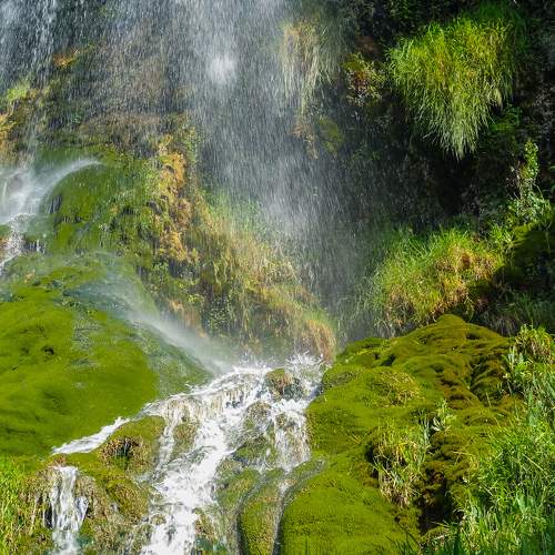 Photo #6945098
