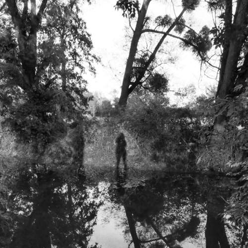 Photo #6945619
