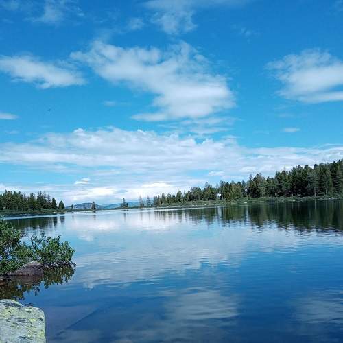 Photo #6945662