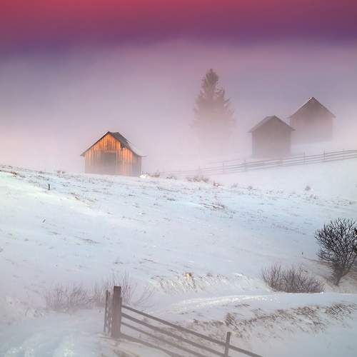 Photo #6945688