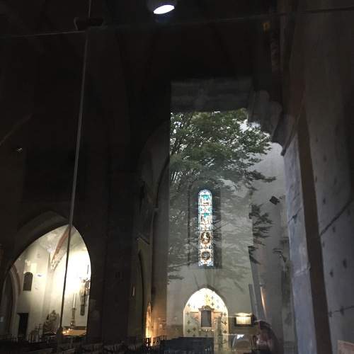 Photo #6945895