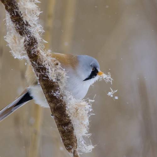Photo #6945898