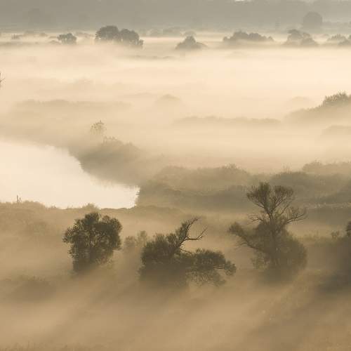 Photo #6945954