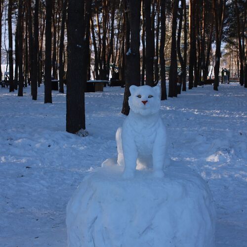 В зимнем парке