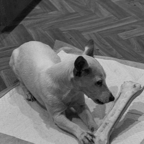Photo #6946541
