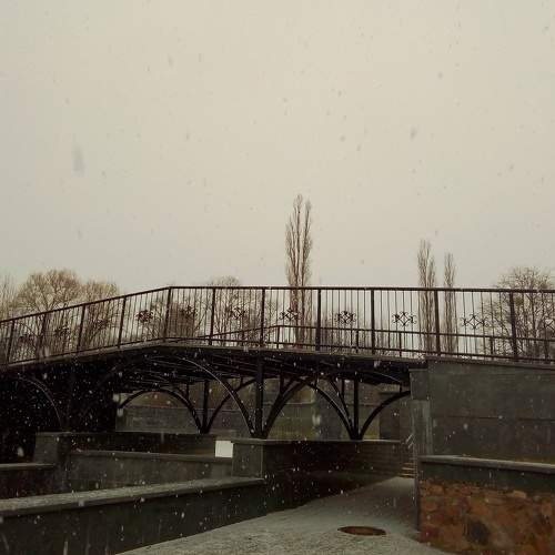 Photo #6946626