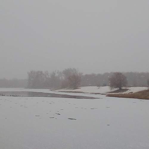 Photo #6946647