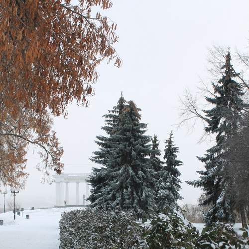 Photo #6947234