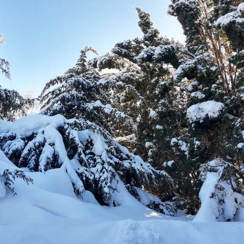 Photo #6947277