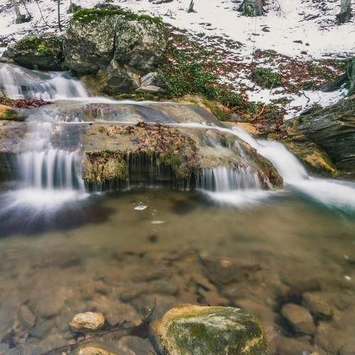 Photo #6947750
