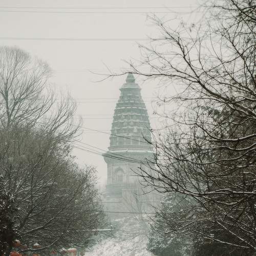 Photo #6948014