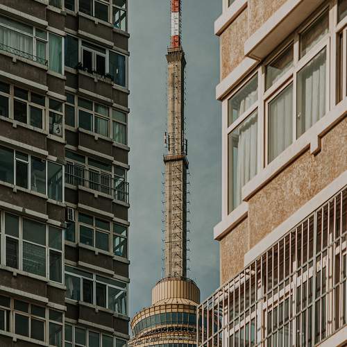 Photo #6948019