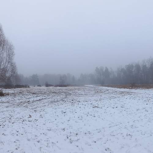 Photo #6948066