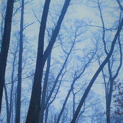 Photo #6948157