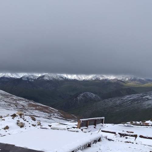 Photo #6948310