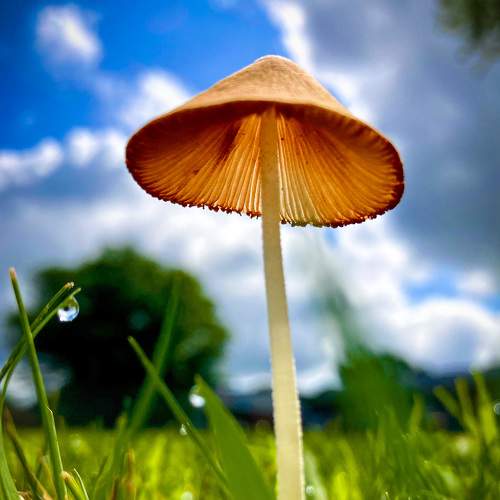 Photo #6948344