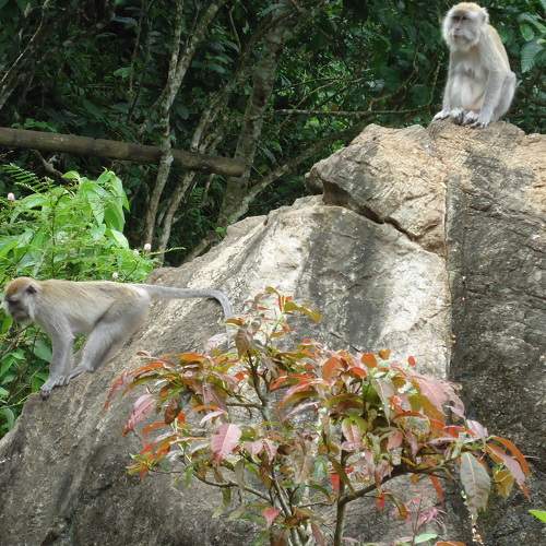 Photo #6948388