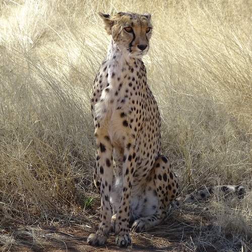 Photo #6948836