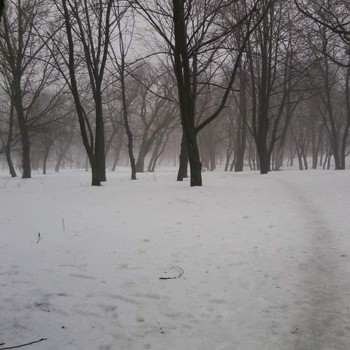 Photo #6949307