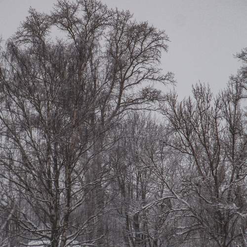 Photo #6949654