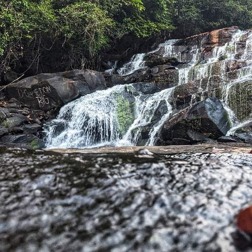 Photo #6949886