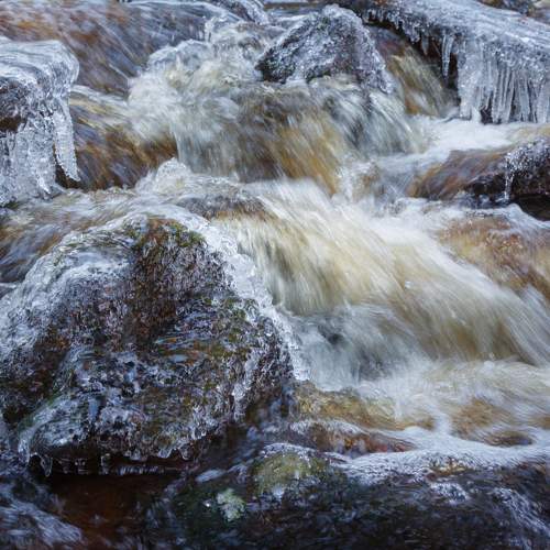 Photo #6950227
